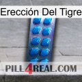 Erección Del Tigre viagra1